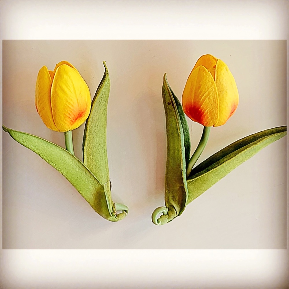 Tulip Refrigerator Magnets